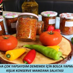 Kışlık konserve mamzana salatası